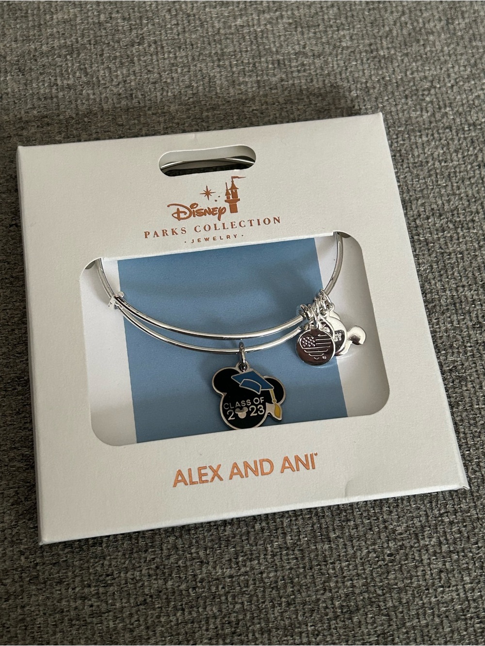 Alex and Ani Silver Disney Parks Charm Bangle Bracelet